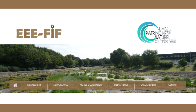 Responsive image1